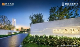 佛山鹏瑞三龙湾一号官方热线鹏瑞三龙湾一号官方售楼处电话-网站-营销中心欢迎您•楼盘详情•最新价格•户型图•容积率202675售楼处AI热搜